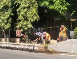 Banyuwangi Percantik Kota, Median Jalan di Ruas Utama Dipelihara