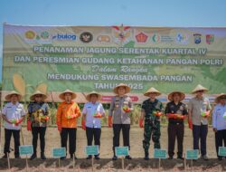 Polres Jember Dukung Swasembada Pangan 2025, Kapolres Bobby Ikut Tanam Jagung Serentak Kuartal IV