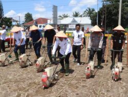Kapolres Simalungun Pimpin Penanaman Jagung 52 Hektar, Dukung Program Swasembada Pangan Nasional