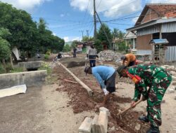 Babinsa Koramil 0825-11/Pesanggaran Gotong Royong Kerja Bakti Pavingisasi Jalan Desa Bersama Warga Masyarakat