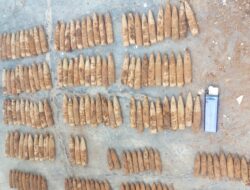 Ratusan Proyektil Diduga Amunisi Senjata Berat Ditemukan di Depo Sampah, Polresta Banyuwangi Bergerak Cepat Amankan