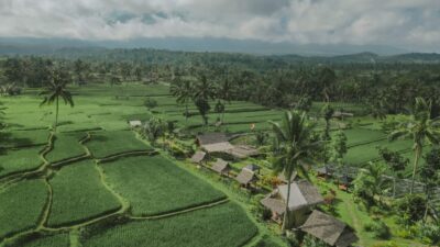 Hadirkan Ijen Golden Route, Banyuwangi Kenalkan Destinasi Hidden Gem Seputar Kaki Ijen