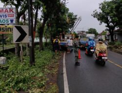 Detik-Detik di Jalan Benculuk!” Babinsa Wonosobo Turun Tangan Amankan Lalu Lintas saat Penebangan Pohon Rawan Tumbang