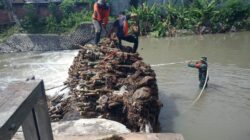 Arus Sungai Sobo Tersumbat Bonggol Bambu, Babinsa di Banyuwangi dan Tim Gabungan Lakukan Evakuasi Cepat