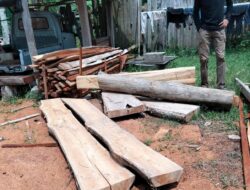 Puluhan Batang Kayu Jati Ilegal Ditemukan Menumpuk di Belakang Rumah Warga Pesanggaran