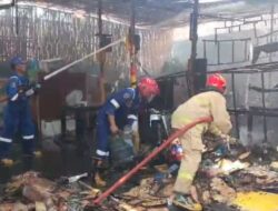 Bangunan Semi Permanen di Tukangkayu Terbakar, Damkarmat Banyuwangi Gerak Cepat Padamkan Api