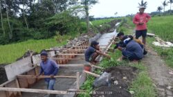 CV.AS Akui Progres Pekerjaan Capai 30 Persen, Papan Proyek Tak Terpasang dan K3 Lalai, Pengawasan Dinas Dipertanyakan