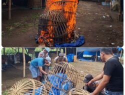 Polresta Banyuwangi Tindak Tegas Dugaan Judi Sabung Ayam, Arena dibongkar