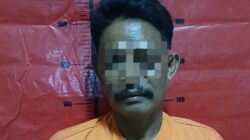 Polres Sumenep Amankan Buronan Kasus Pencurian Dua Ekor Sapi