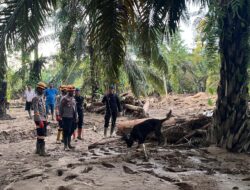 Den K9 Ditpolsatwa Baharkam Polri Berhasil Temukan Satu Korban Bencana Alam di Batang Toru, Sumatera Utara