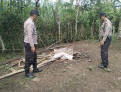 Polres Malang Kembali Bongkar Area Sabung Ayam di Kalipare