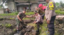 Komandan Koramil Songgon Resmi Letakkan Batu Pertama, Koperasi Desa Merah Putih Bergerak Cepat Wujudkan Ekonomi Kerakyatan