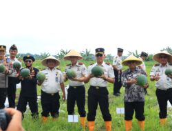 Panen Raya di Lapas Banyuwangi Hasilkan 3 Ton Semangka, Sebagian Hasil Penjualan Akan Disumbangkan untuk Bencana Sumatera