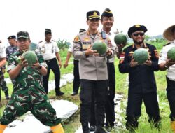 Kasdim 0825/Banyuwangi Hadiri Panen Raya Lapas: Dari Lahan Pemasyarakatan, Harapan Ketahanan Pangan Tumbuh