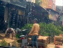 Diduga Tanpa Izin, Penebangan Pohon Peneduh di Jalan MT Haryono Banyuwangi Disorot Warga