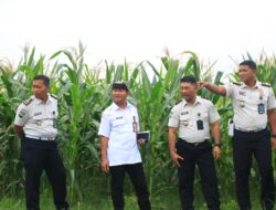 Lapas Banyuwangi Gandeng Dinas Pertanian, Kembangkan Peternakan Ayam Petelur di SAE Paswangi