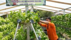 Geliat Ketahanan Pangan di Balik Jeruji: Strategi Menteri Imipas Agus Andrianto Transformasi Lapas Jadi Pusat Ekonomi