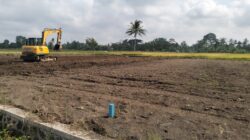 Diduga Belum Kantongi Izin Lengkap, Lahan Sawah di Singolatren Dijadikan Kapling Perumahan