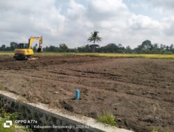 Diduga Belum Kantongi Izin Lengkap, Lahan Sawah di Singolatren Dijadikan Kapling Perumahan