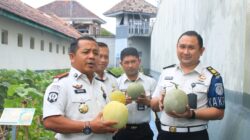 Lapas Banyuwangi Buktikan Lahan Terbatas Bukan Penghalang Dukung Program Swasembada Pangan