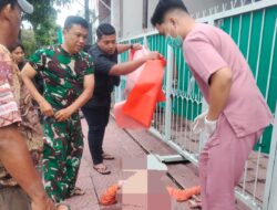 Babinsa Sobo Sigap di Fajar Buta: Detik-Detik Penyelamatan Korban Lakalantas di Depan Koramil Banyuwangi  Kecelakaan lalu lintas tunggal terjadi di