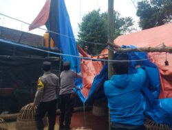 Polisi Bongkar Arena Dugaan Perjudian Sabung Ayam di Pakisaji Malang