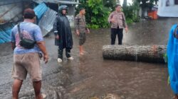 Gambiran Koramil 0825/06 Gambiran bertindak Cepat Evakuasi Jalur.*  Gambiran – Cuaca ekstrem berupa angin kencang yang melanda wilayah Kecamatan Gambiran pada Sabtu (14/03/2026) mengakibatkan sebuah pohon besar tumbang dan melintang di jalan utama Desa Gambiran tepatnya di depan RS Al Huda Gambiran Kejadian ini sempat melumpuhkan arus lalu lintas dan membahayakan pengguna jalan.  Merespons laporan warga, Babinsa Desa Gambiran, Koramil 0825/06 Gambiran, langsung terjun ke lokasi untuk memimpin proses evakuasi. Dengan peralatan seadanya bersama warga setempat, personel TNI ini bergerak cepat memotong dahan dan batang pohon guna membuka kembali akses jalan yang tertutup.  Sertu Nurkalim selaku Babinsa Desa Gambiran, menyatakan bahwa prioritas utama adalah keselamatan warga dan kelancaran distribusi logistik maupun mobilitas masyarakat.  “Begitu mendapat laporan dari masyarakat, kami segera berkoordinasi dengan perangkat desa dan BPBD untuk melakukan penanganan. Alhamdulilah, tidak ada korban jiwa dalam kejadian ini, dan jalan kini sudah bisa dilalui kembali,” ujar Peltu [Nama].  Danramil 0825/06 Gambiran, Kapten Inf Sumitro Pujatmiko, SR mengapresiasi kesigapan anggotanya di lapangan. Menurutnya, keberadaan Babinsa di tengah masyarakat merupakan wujud nyata kemanunggalan TNI dalam membantu mengatasi kesulitan rakyat, terutama saat terjadi bencana alam.  Pihak Koramil 0825/06 Gambiran juga menghimbau masyarakat untuk tetap waspada saat berkendara di tengah cuaca buruk. Mengingat intensitas angin yang masih tinggi di wilayah Banyuwangi, warga disarankan untuk menghindari berteduh di bawah pohon besar atau papan reklame yang rawan roboh.