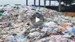 KPB Minta DPRD Banyuwangi Tindaklanjuti Masalah Sampah dan Dugaan Penjualan Pasir di Bekas TPST Kedungrejo