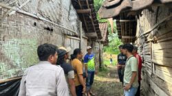 Polresta Banyuwangi Bongkar Kasus Pencurian Sapi di Glenmore, Dua Pelaku Diamankan