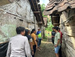 Polresta Banyuwangi Bongkar Kasus Pencurian Sapi di Glenmore, Dua Pelaku Diamankan