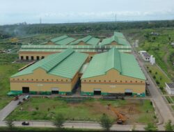 INKA Banyuwangi Kirim 60 Gerbong Datar ke Palembang, Perkuat Logistik Sumatera