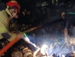 Api Lahap Tumpukan Sabut Kelapa di Cluring, Diduga Berasal dari Puntung Rokok