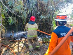 Kebakaran Lahan Bambu di Wongsorejo Banyuwangi, Diduga Dipicu Puntung Rokok