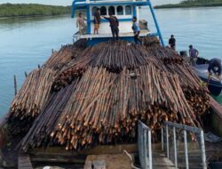 Ditpolairud Polda Kepri Gagalkan Penyelundupan 12.000 Batang Kayu Bakau ke Singapura