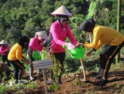 Gerakan Tanam Pohon, Polres Bondowoso Hijaukan Bukit Bintang