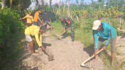 Babinsa Siliragung Turun Tangan: Perbaiki Akses Jalan Hingga Bantu Panen Buah Naga Warga