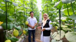 Program Bupati Ipuk Regenerasi Petani Berhasil, Kini Banyak Anak Muda Banyuwangi Berkreasi di Pertanian