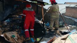 Gudang Kardus di Banyuwangi Terbakar, Damkar Cegah Api Merembet ke Puskesmas
