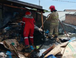 Gudang Kardus di Banyuwangi Terbakar, Damkar Cegah Api Merembet ke Puskesmas