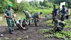 Tanam Mangrove Serentak di Pantai Cemara, Kodim 0825 Banyuwangi Gaungkan Ketahanan Lingkungan untuk Masa Depan