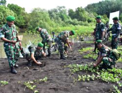 Tanam Mangrove Serentak di Pantai Cemara, Kodim 0825 Banyuwangi Gaungkan Ketahanan Lingkungan untuk Masa Depan