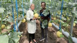 BRI Dukung Pertanian Modern dan Agrowisata Desa Genengan, KUR Pertanian Tembus Rp1,6 Triliun