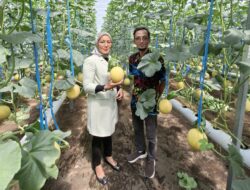 BRI Dukung Pertanian Modern dan Agrowisata Desa Genengan, KUR Pertanian Tembus Rp1,6 Triliun