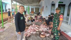 Babinsa Koramil 0825/14 Kabat Kawal Penyembelihan Hewan Kurban, Wujudkan Iduladha Aman dan Tertib