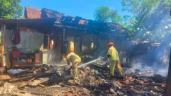 Obat Nyamuk Bakar Picu Kebakaran Rumah di Wongsorejo, Kerugian Capai Rp45 Juta