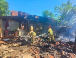 Obat Nyamuk Bakar Picu Kebakaran Rumah di Wongsorejo, Kerugian Capai Rp45 Juta