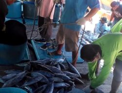 Soroti Aktivitas Bongkar Muat Ikan di Pelabuhan Tanjung Wangi, Mbah Semar Minta Legalitas dan Pengawasan Diperketat Demi Selamatkan PAD