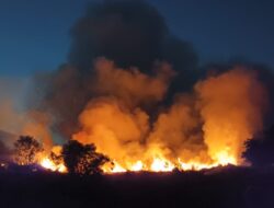 Lahan Kosong di Kertosari Banyuwangi Terbakar, Damkarmat Berhasil Cegah Api Merambat ke Permukiman