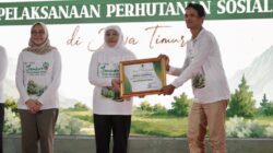 Cempaka Foundation Raih Penghargaan Gubernur Jatim atas Pendampingan Perhutanan Sosial