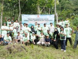 Hijaukan Kawasan Hutan , ABC Indonesia Bersama Yayasan Cempaka Tanam 1.000 Pohon